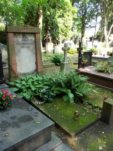 Zdjęcie grobu Wacław Myszkowski (1)