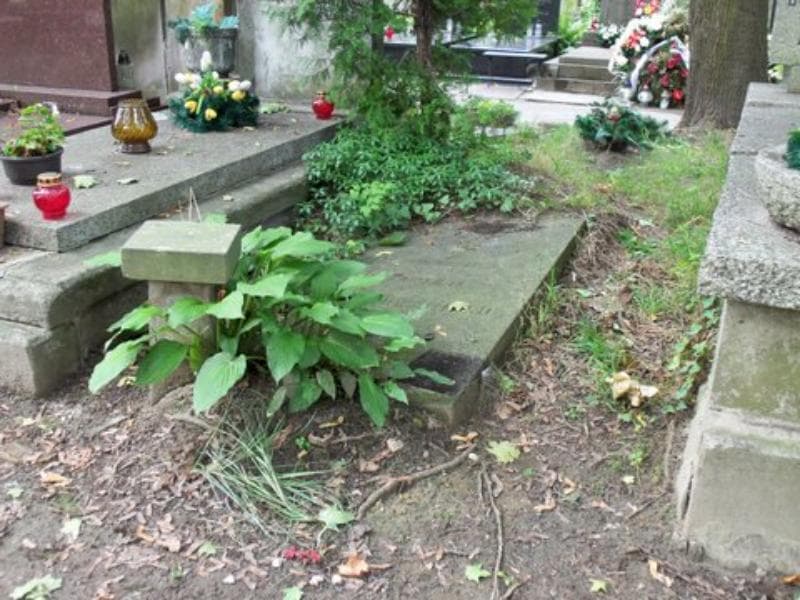 Zdjęcie grobu Edward Piotrowski (1)