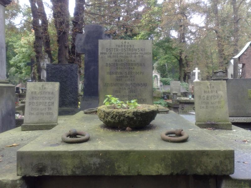 Zdjęcie grobu Henryk Strumpf (1)