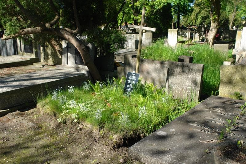 Zdjęcie grobu Zofia Chodynicka (1)
