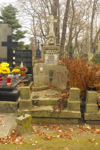 Zdjęcie grobu: Antonina Stróżewska