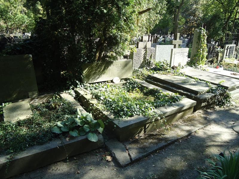 Zdjęcie grobu Maria Niemojewska (1)