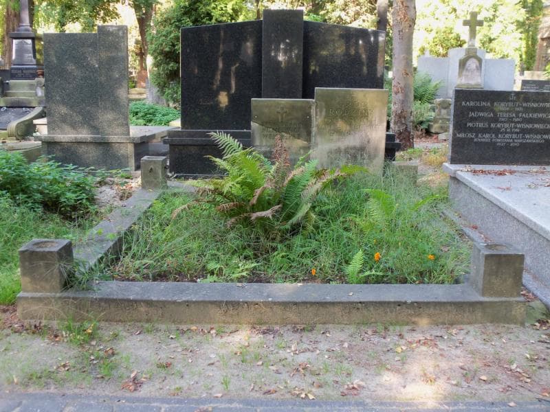 Zdjęcie grobu: Janina Górska