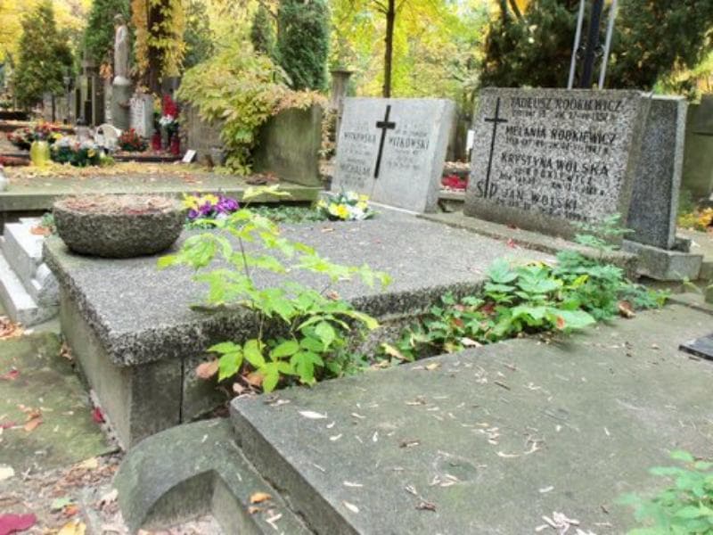 Zdjęcie grobu Krystyna Wolska (1)