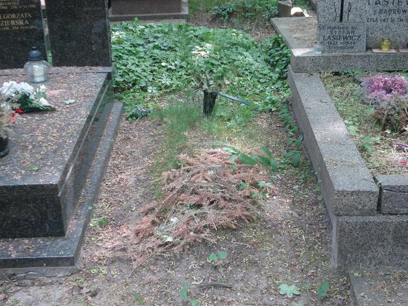Zdjęcie grobu: Pole Grobowe