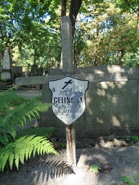 Zdjęcie grobu Irena Celińska (2)
