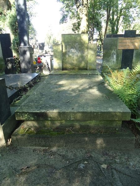 Zdjęcie grobu: Stanisław Topor-Krasnopolski
