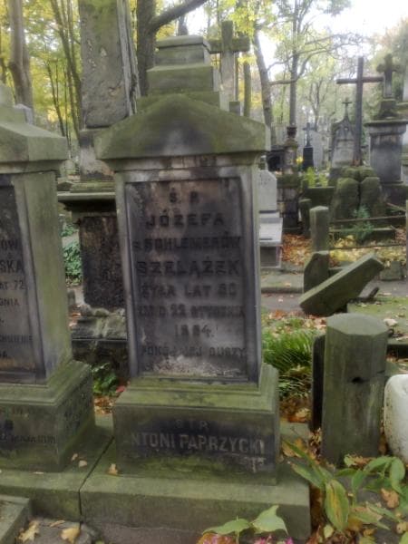 Zdjęcie grobu Stanisława Maryja Bauer (1)
