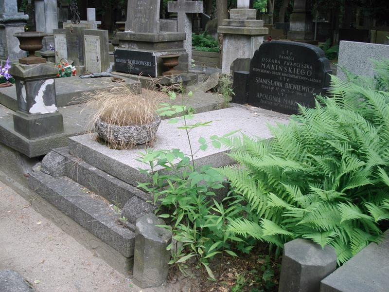 Zdjęcie grobu: Apolonia Makińska