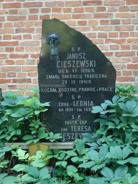 Zdjęcie grobu Janusz Cieszewski (2)
