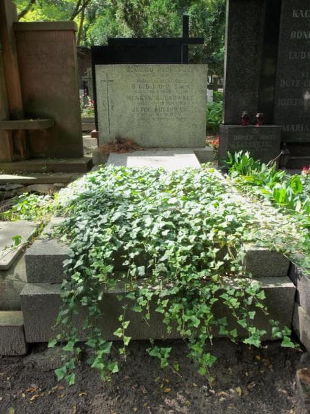 Zdjęcie grobu: Romuald Budkowski