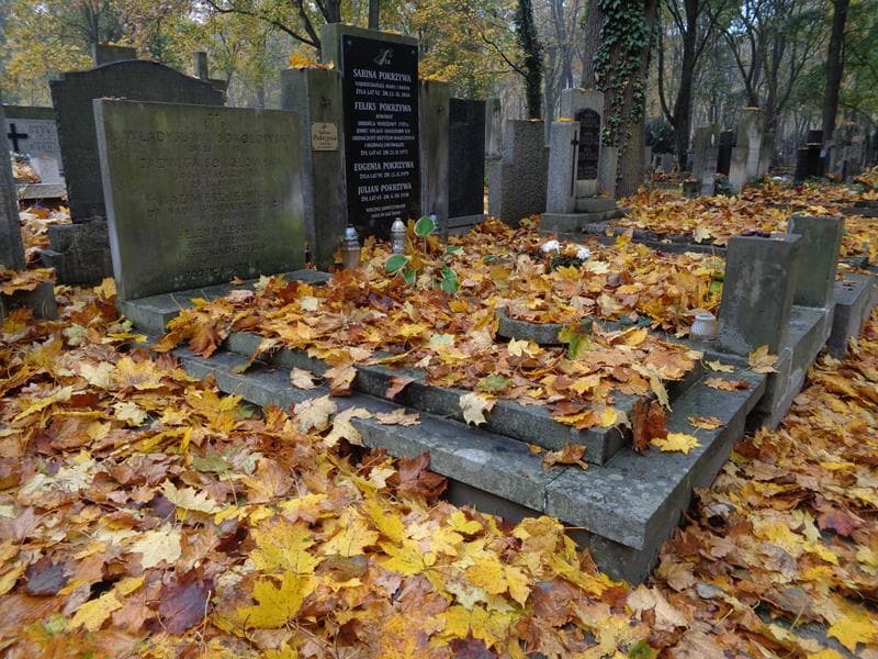 Zdjęcie grobu: Kazimierz Leśniak