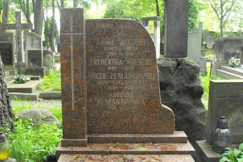 Zdjęcie grobu Antonina Żemantowska (2)