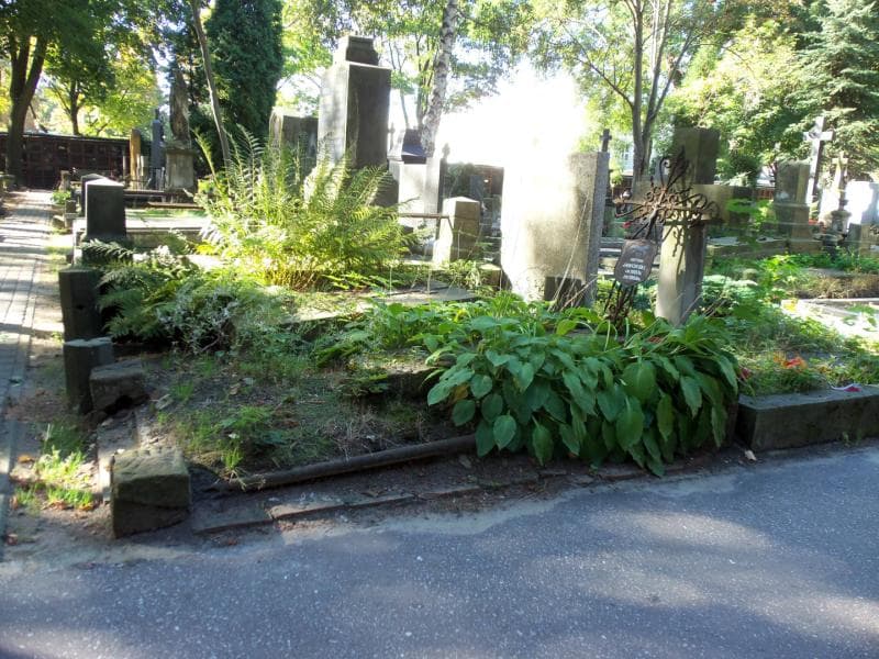 Zdjęcie grobu Feliks Jaworski (1)