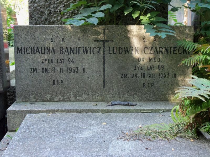 Zdjęcie grobu Ludwik Czarniecki (2)