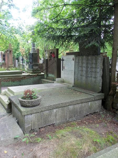 Zdjęcie grobu Lucjan Teodor Imiałkowski (1)