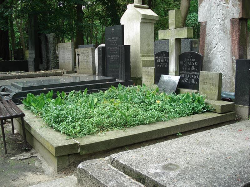 Zdjęcie grobu Michalina Konstancja Frąckiewicz (1)