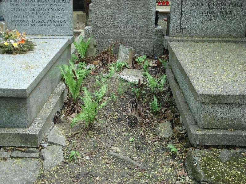 Zdjęcie grobu: Antoni Maciejewski