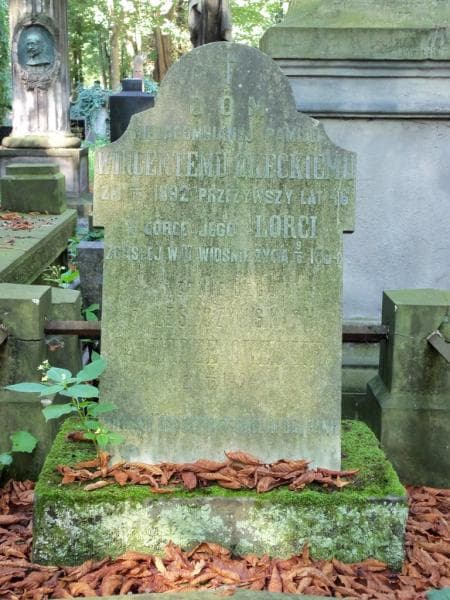 Zdjęcie grobu Wincenty Okęcki (2)