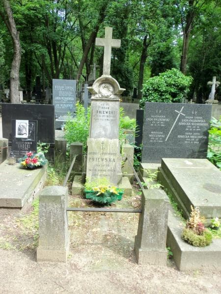 Zdjęcie grobu: Adam Pniewski