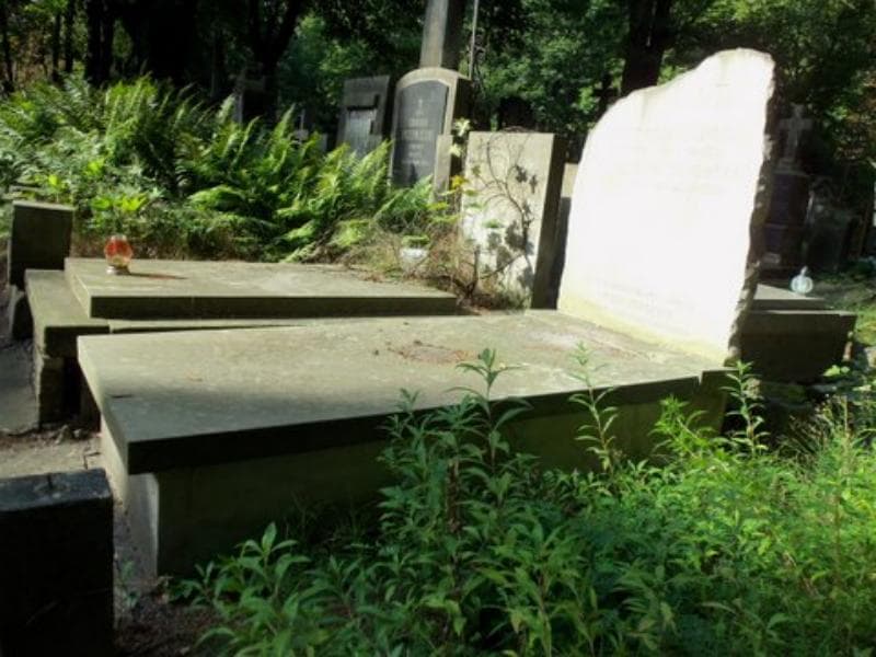 Zdjęcie grobu Scholastka Kochanowska (1)