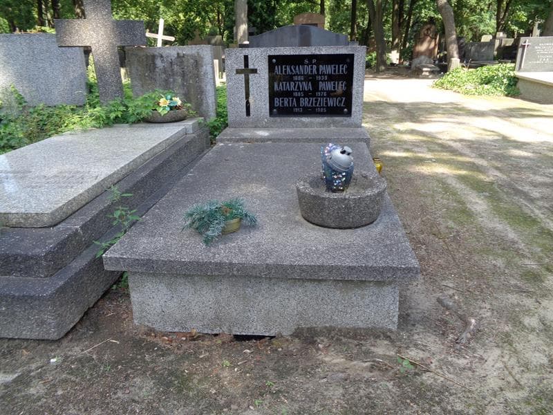 Zdjęcie grobu Berta Brzeziewicz (1)
