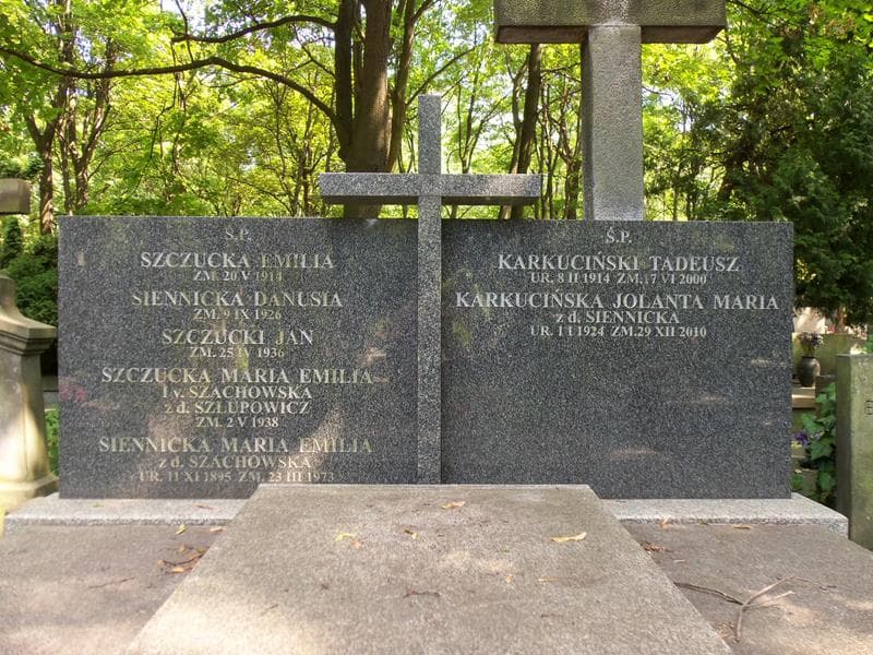 Zdjęcie grobu Emilia Szczucka (2)