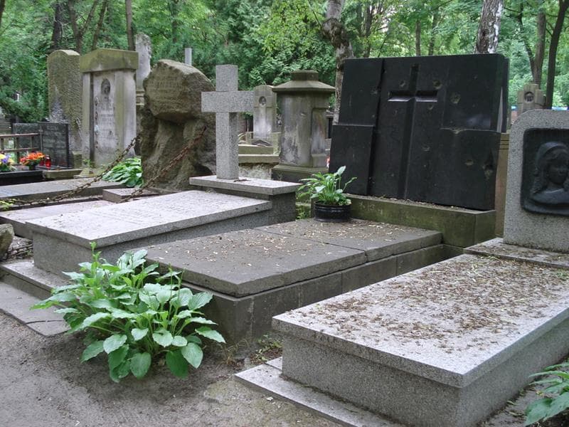 Zdjęcie grobu: Stanisław Janczewski