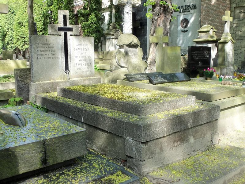 Zdjęcie grobu Maria Lewińska (1)