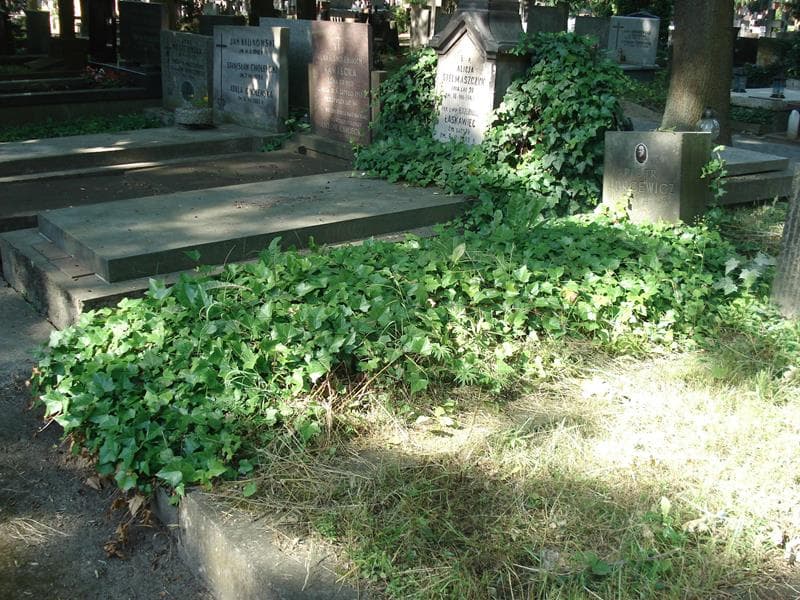 Zdjęcie grobu: Piotr Jurcewicz