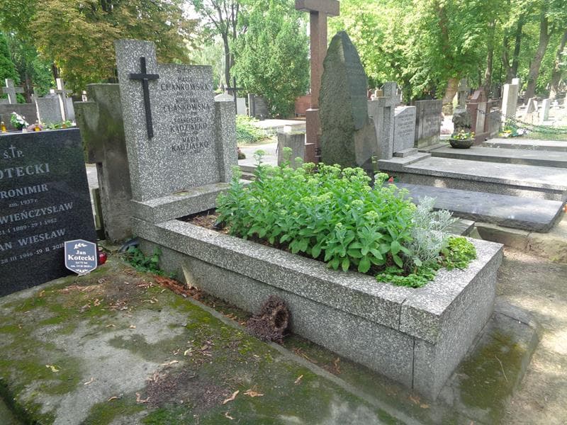 Zdjęcie grobu: Franciszek Kądziałko