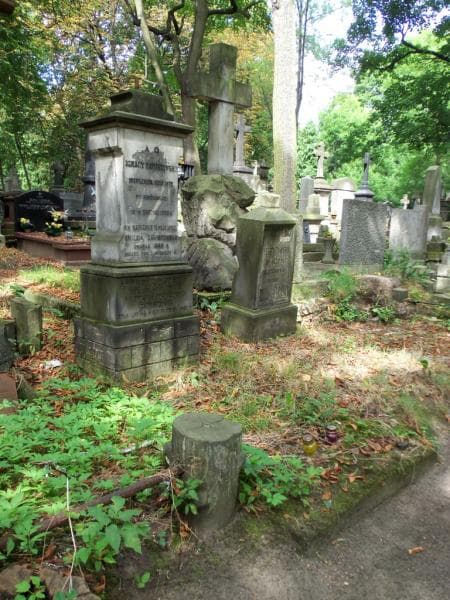 Zdjęcie grobu Emilja Zawistowska (1)
