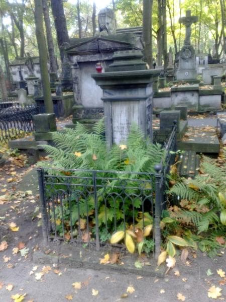 Zdjęcie grobu: Wiktorya Lewińska