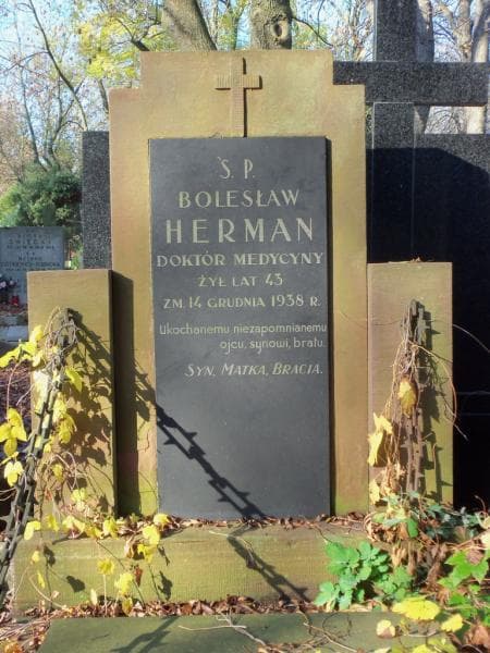 Zdjęcie grobu Bolesław Herman (2)
