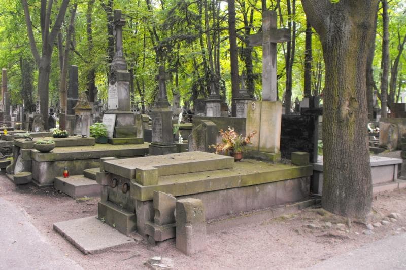 Zdjęcie grobu: Aniela Gonstaw