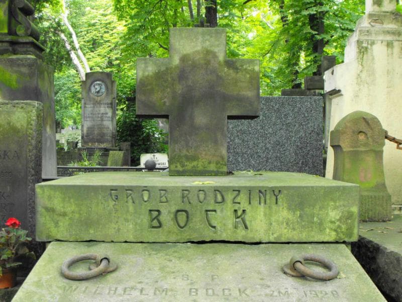 Zdjęcie grobu Janina Brzezińska (2)
