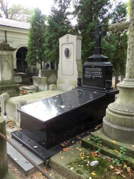 Zdjęcie grobu Józefa Brzezińska (1)