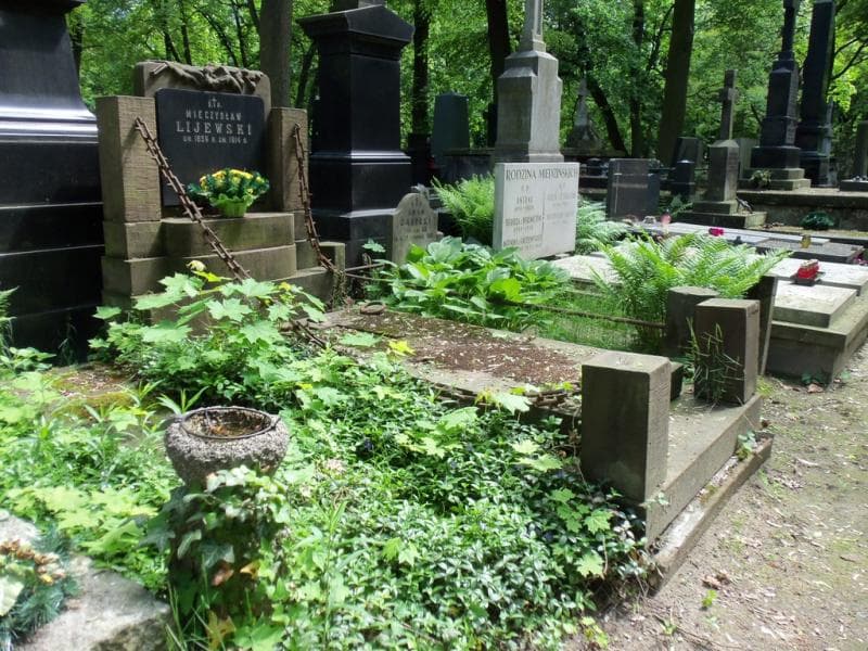 Zdjęcie grobu Mieczysław Lijewski (1)