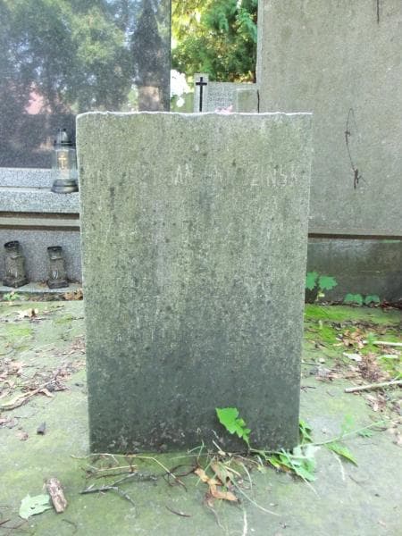 Zdjęcie grobu Teodor Gwiździński (2)