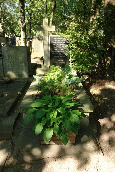 Zdjęcie grobu: Antoni Benkowicz