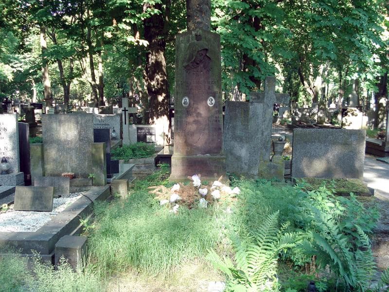 Zdjęcie grobu: Władysław Dański