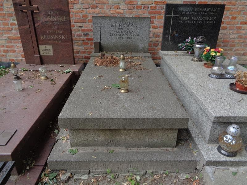 Zdjęcie grobu Ludwika Domańska (1)