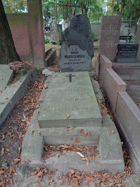 Zdjęcie grobu Janina Mierzejewska (1)