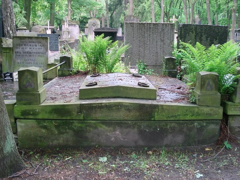 Zdjęcie grobu Grzegorzewiczowie (1)