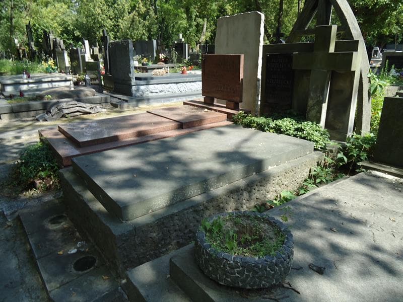Zdjęcie grobu Piotruś Strzelecki (1)