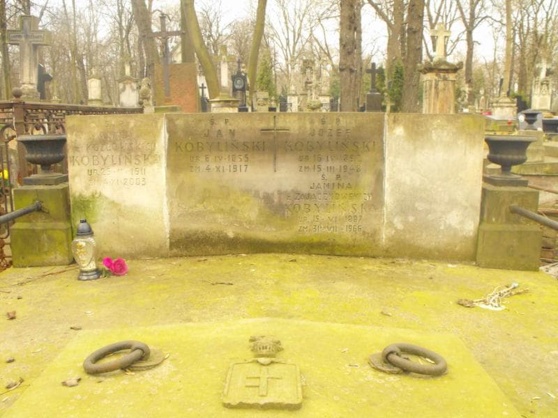 Zdjęcie grobu Aleksander Kobyliński (1)