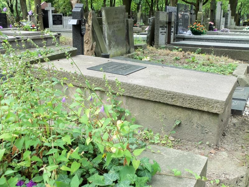 Zdjęcie grobu Dominik Goleniewski (2)