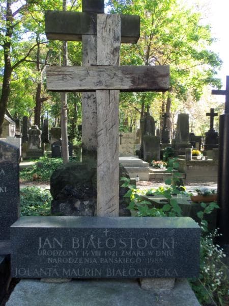 Zdjęcie grobu Jan Białostocki (2)