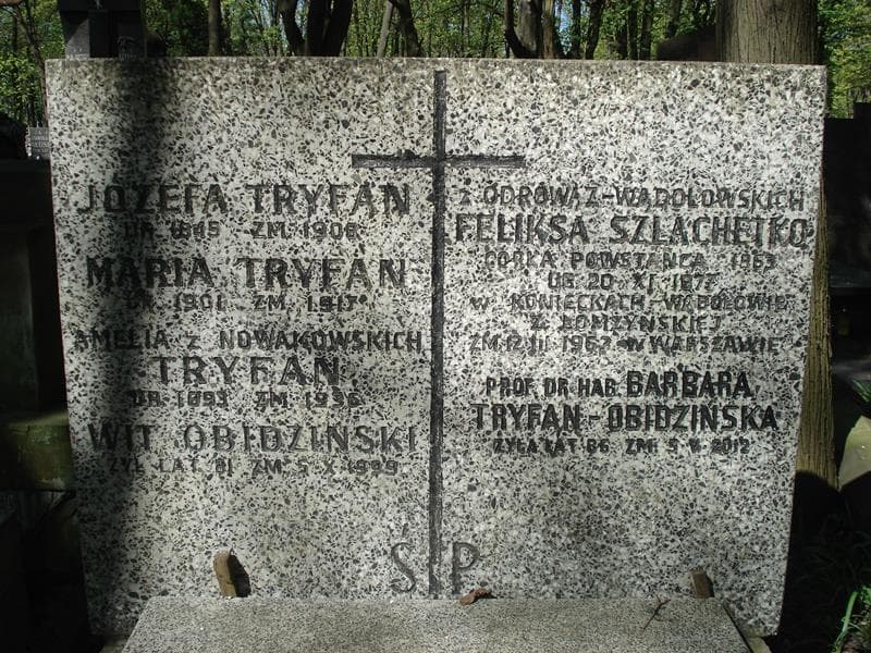 Zdjęcie grobu Wit Obidziński (1)