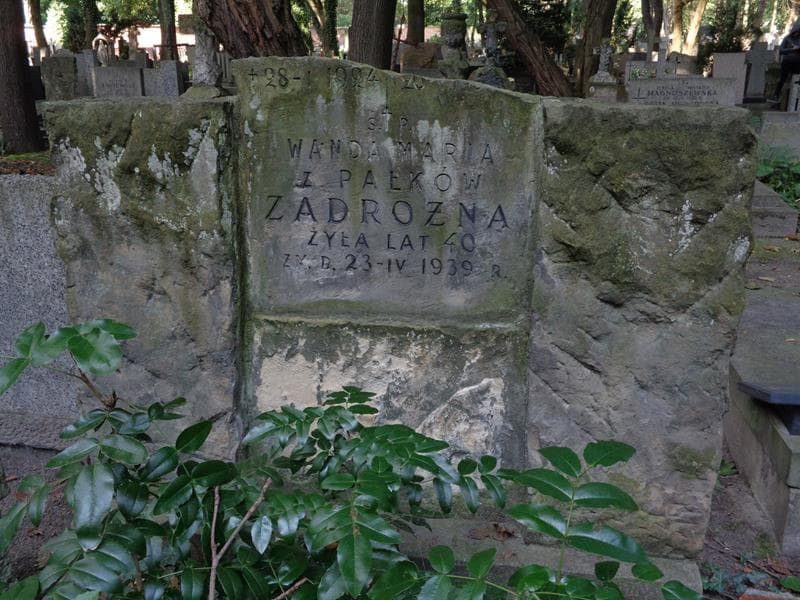 Zdjęcie grobu Wanda Maria Zadrożna (2)
